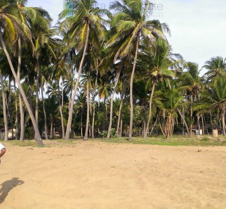 Beachfront plot near Kalpitiya