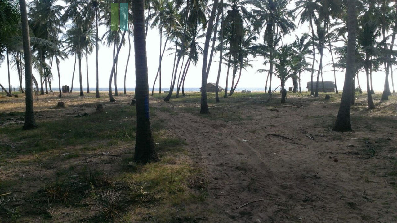 Beachfront plot near Kalpitiya