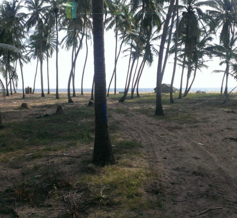 Beachfront plot near Kalpitiya