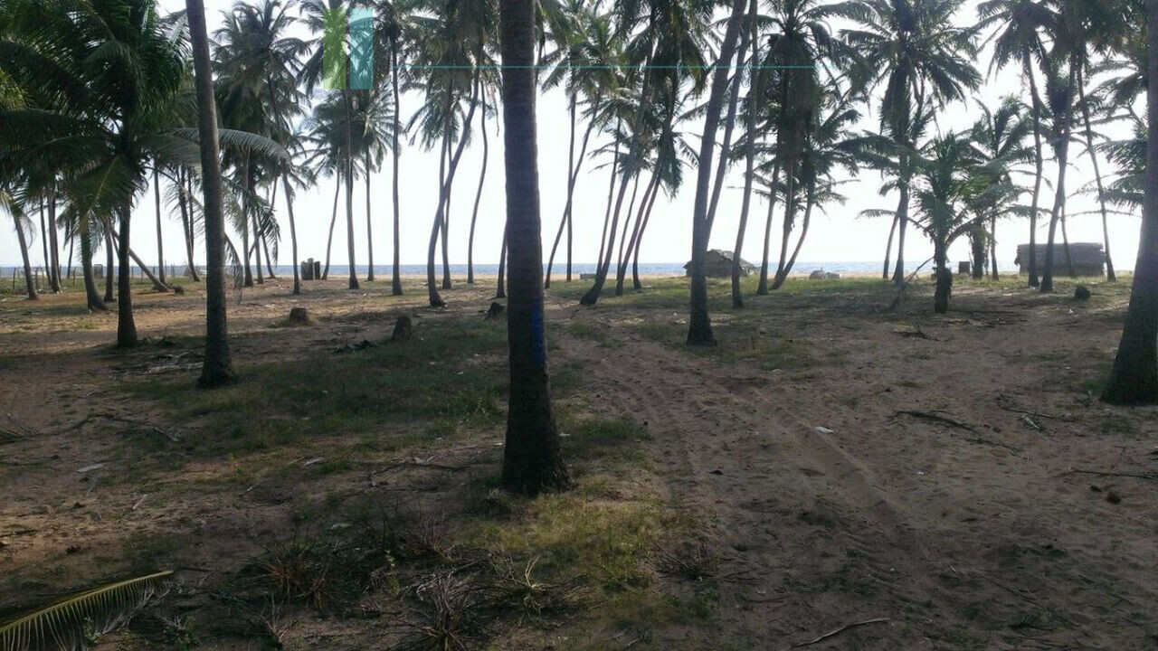 Beachfront plot near Kalpitiya