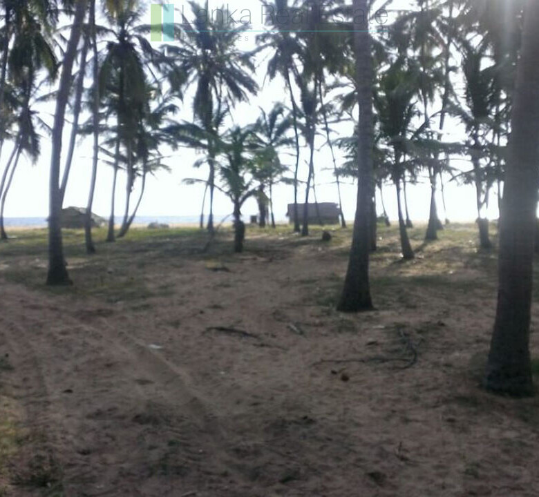 Beachfront plot near Kalpitiya