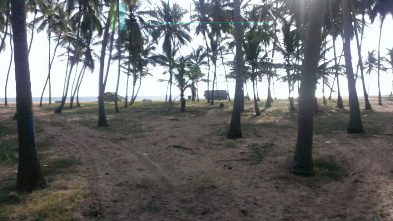 Beachfront plot near Kalpitiya