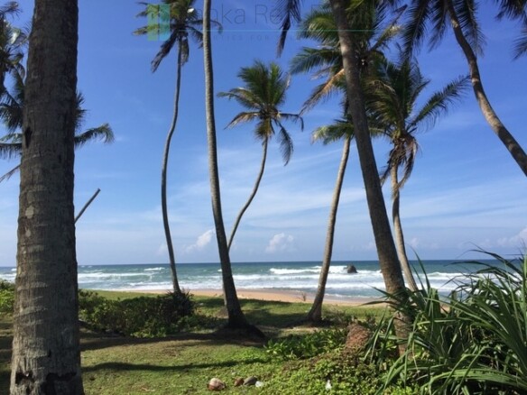 Large beachfront plot near Galle