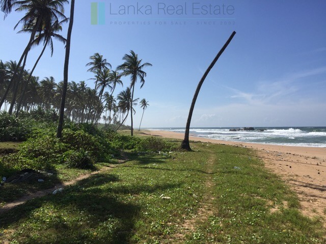 Large beachfront plot near Galle