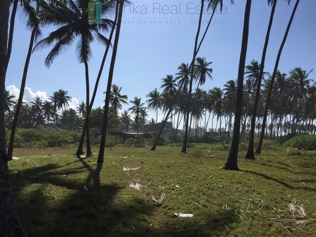 Large beachfront plot near Galle