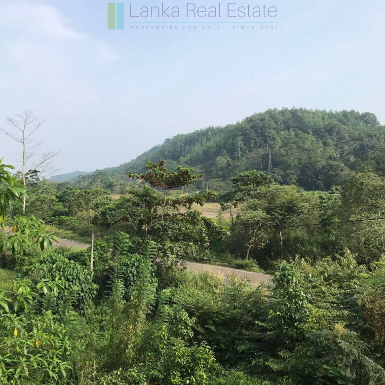 Deco style house on seven acres with tea