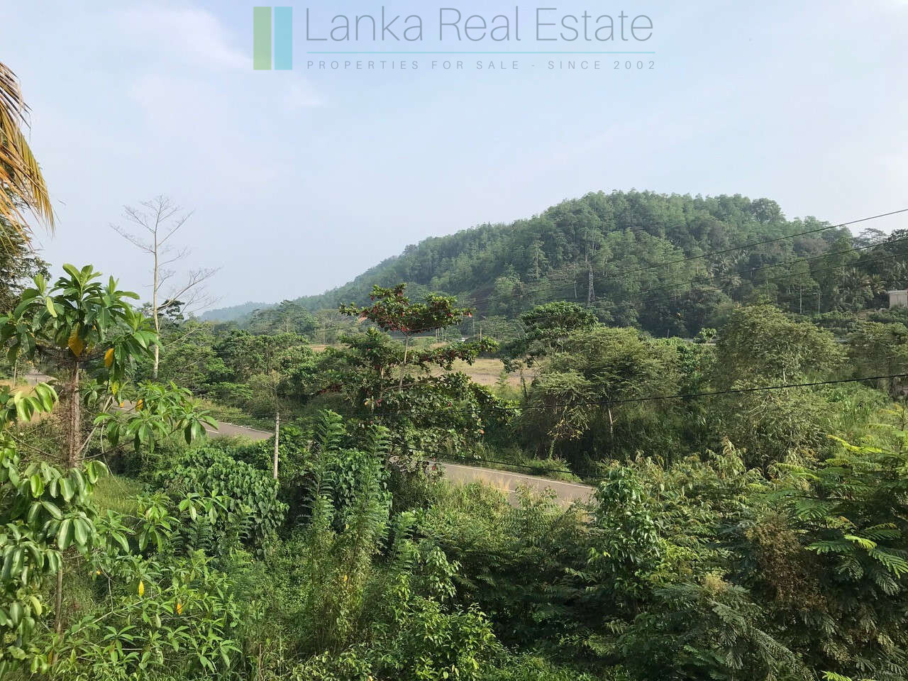 Deco style house on seven acres with tea