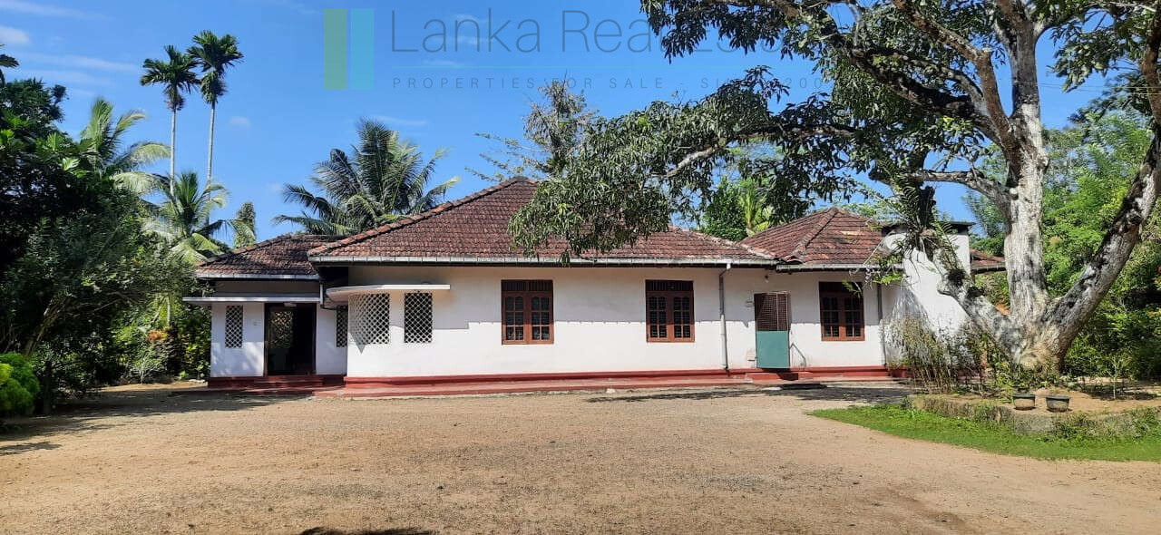 Deco style house on seven acres with tea