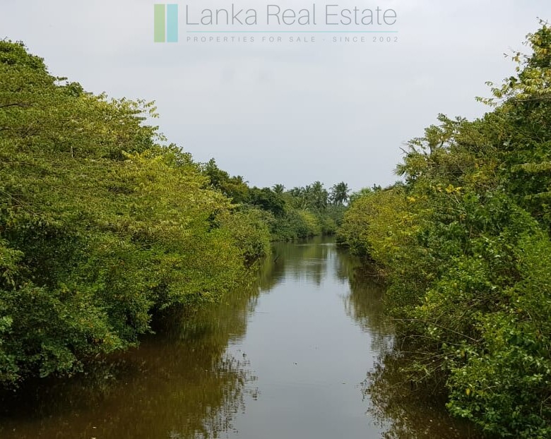 Tranquil eleven acres near Talpe