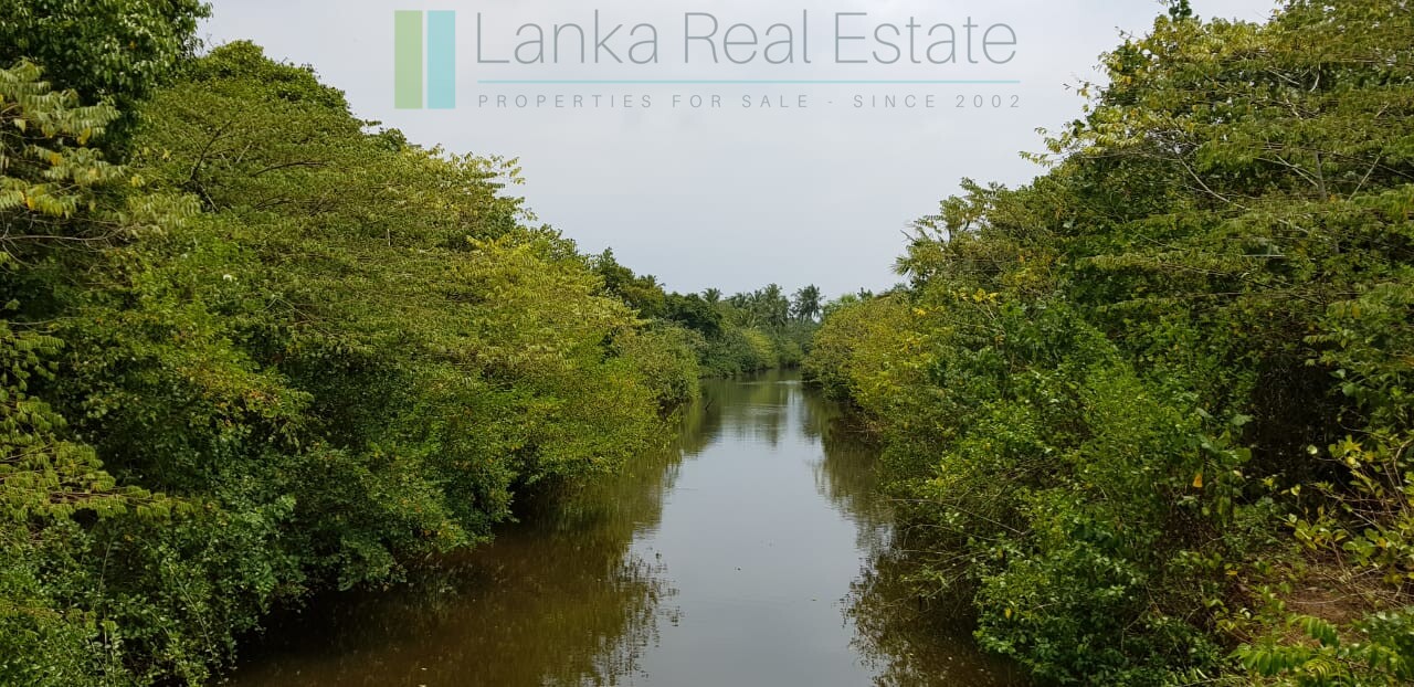 Tranquil eleven acres near Talpe