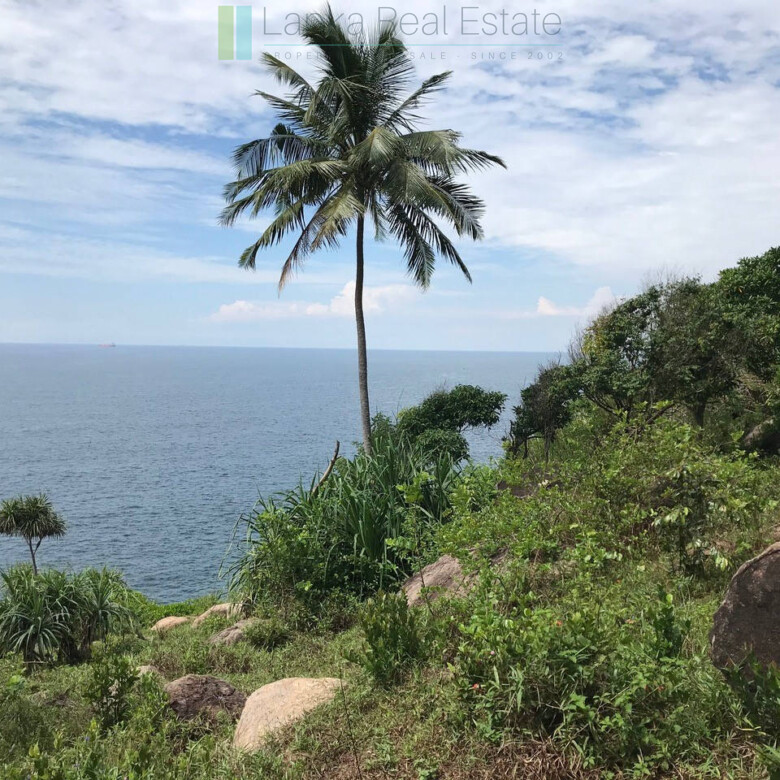 Elevated beach development land