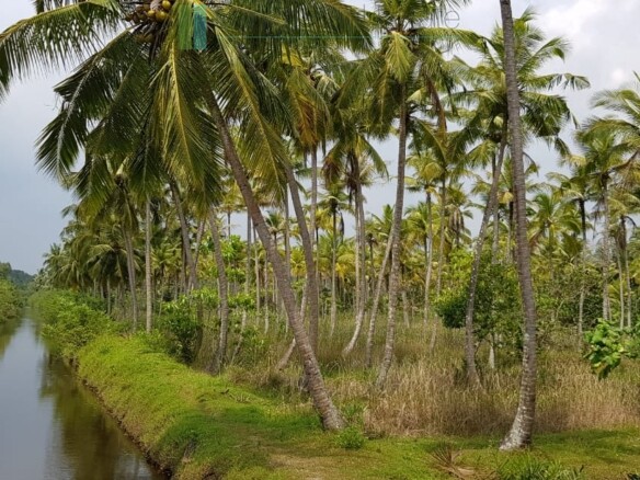 Tranquil eleven acres near Talpe