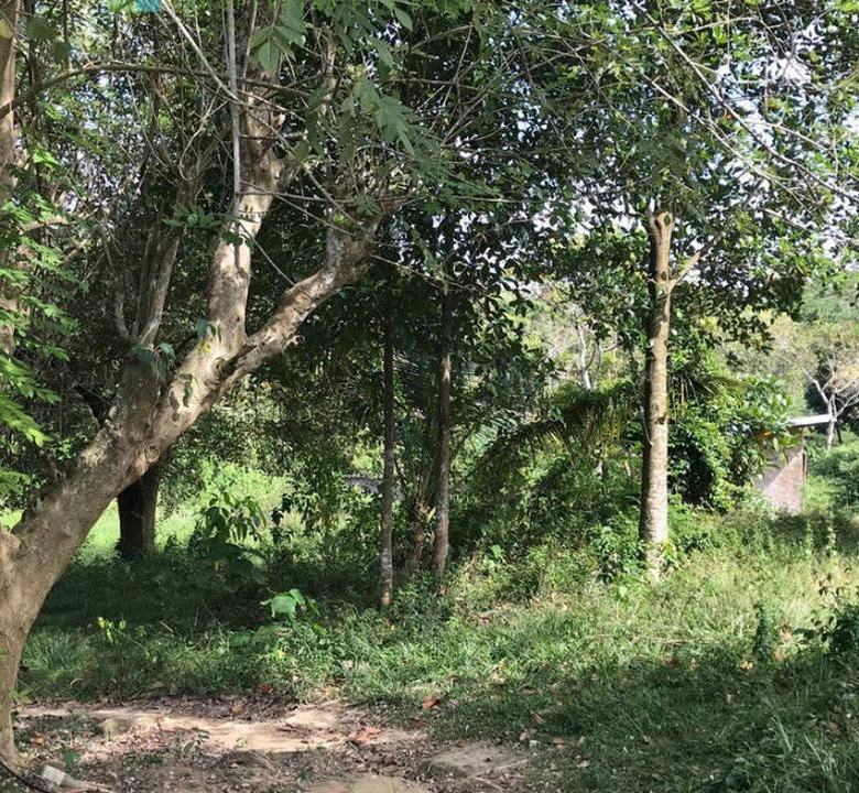 Koggala Lake development site