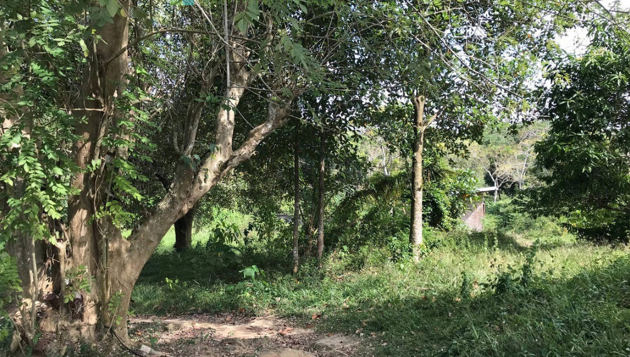 Koggala Lake development site