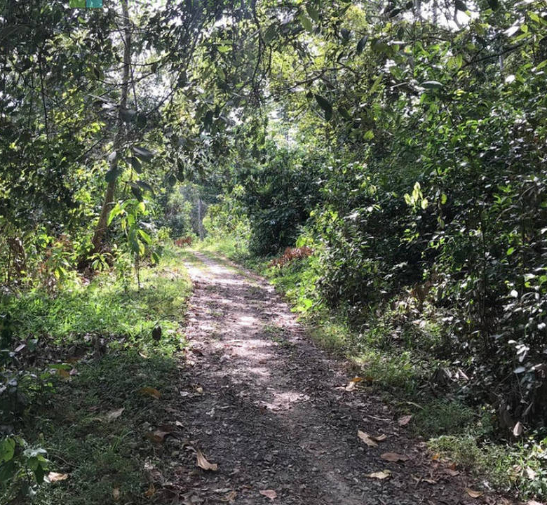 Koggala Lake development site