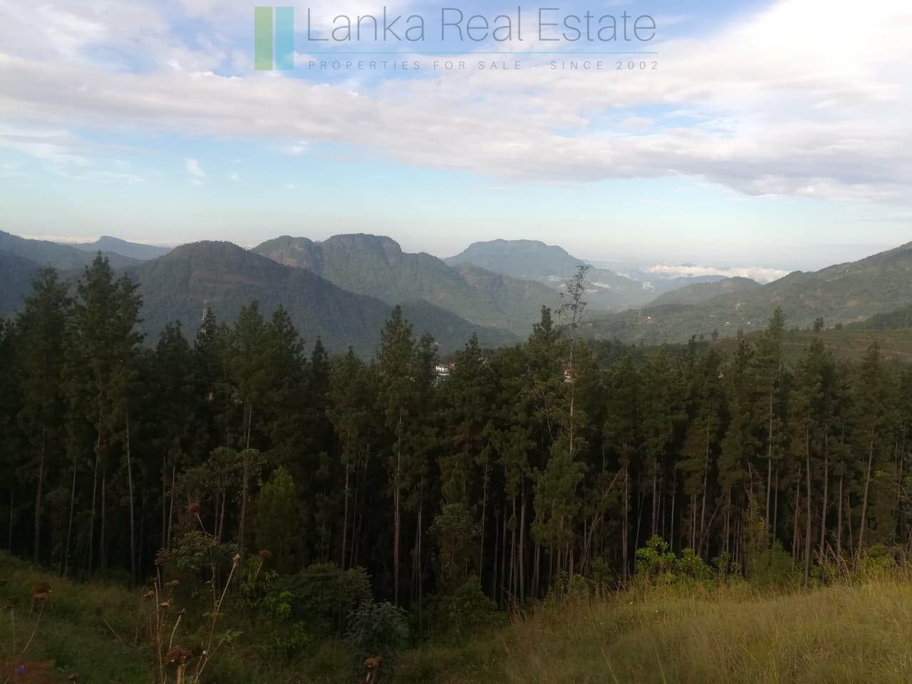 Thirty three acres in hill country with small tea estate