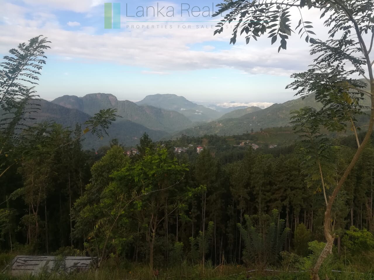 Thirty three acres in hill country with small tea estate