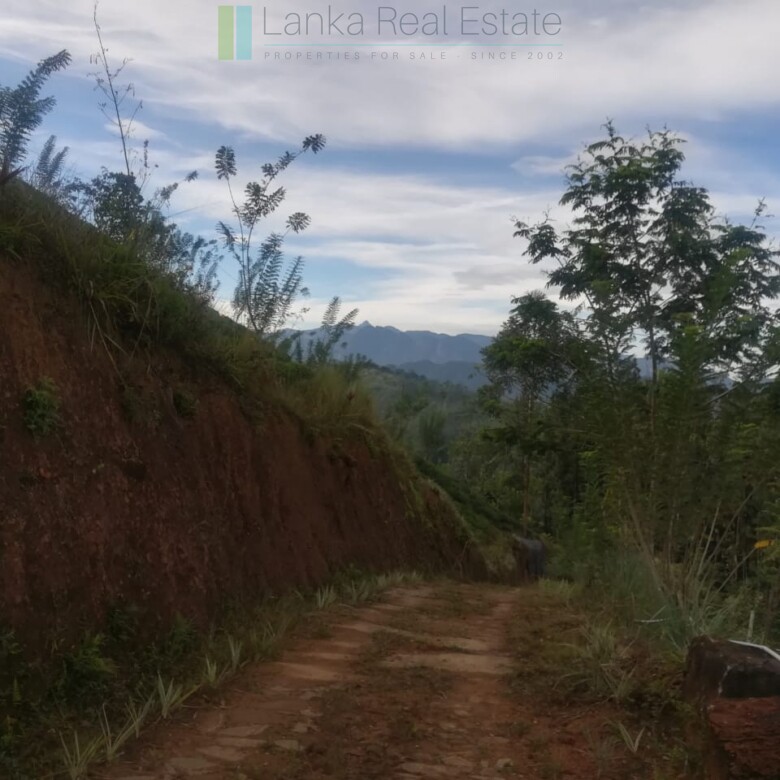 Thirty three acres in hill country with small tea estate