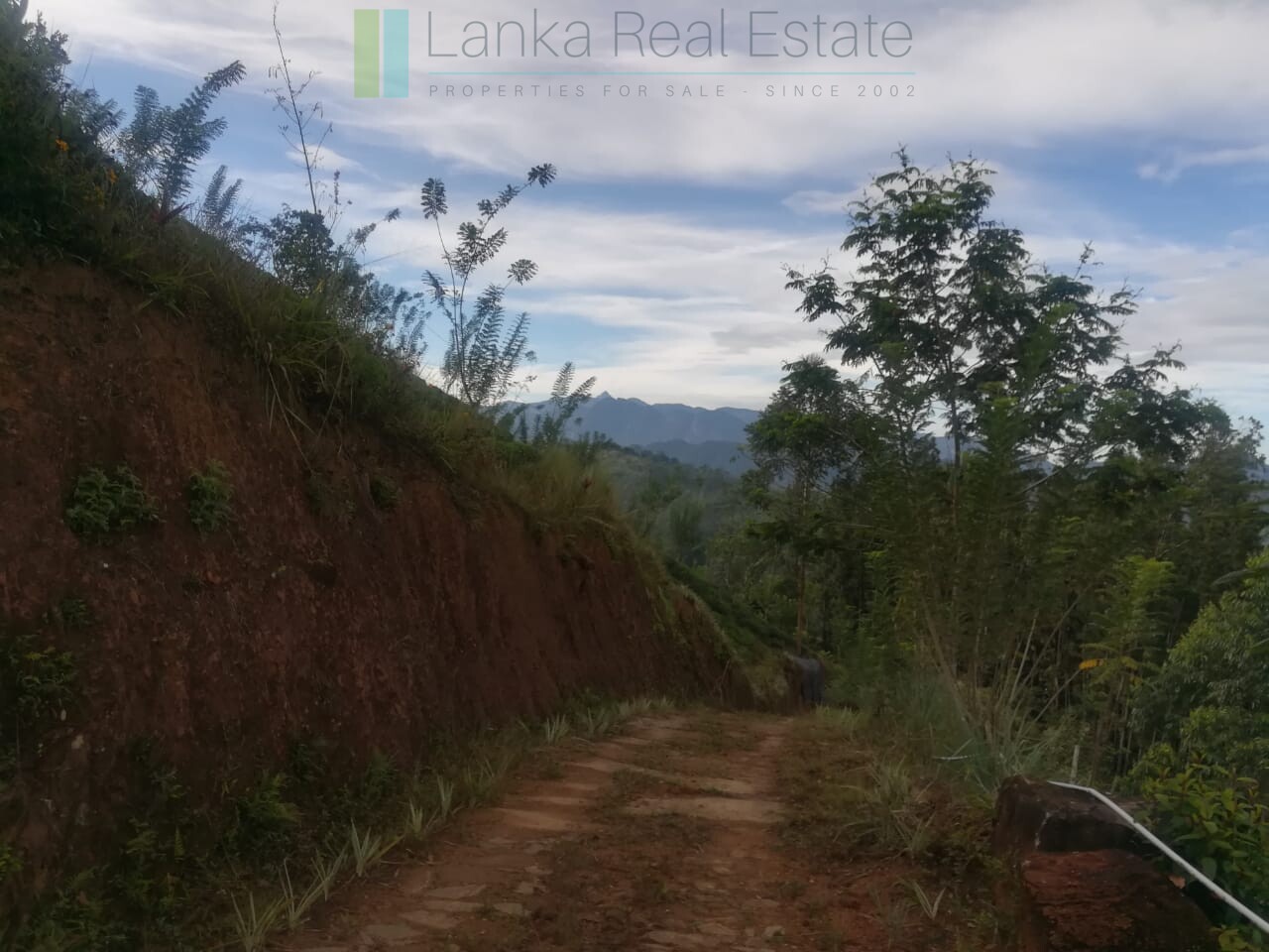 Thirty three acres in hill country with small tea estate