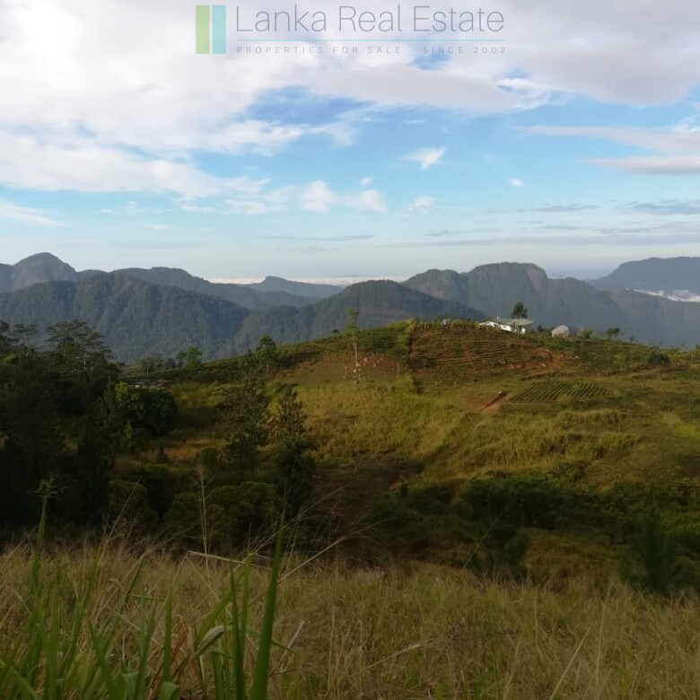Thirty three acres in hill country with small tea estate