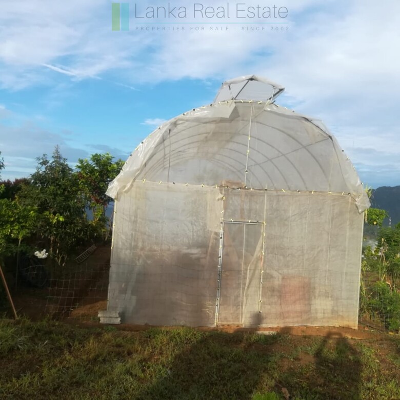 Thirty three acres in hill country with small tea estate