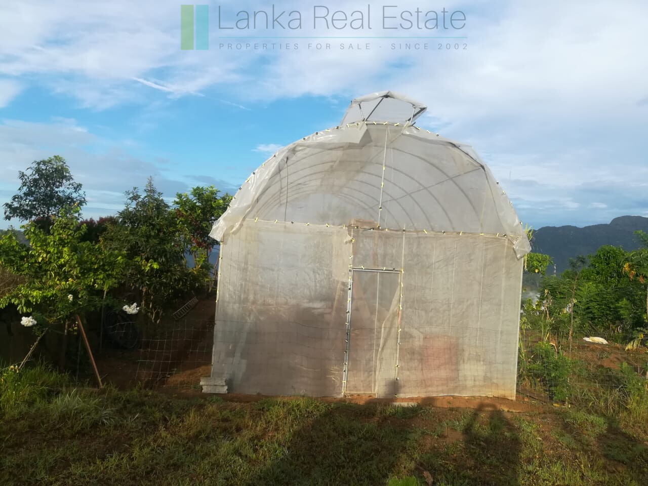 Thirty three acres in hill country with small tea estate