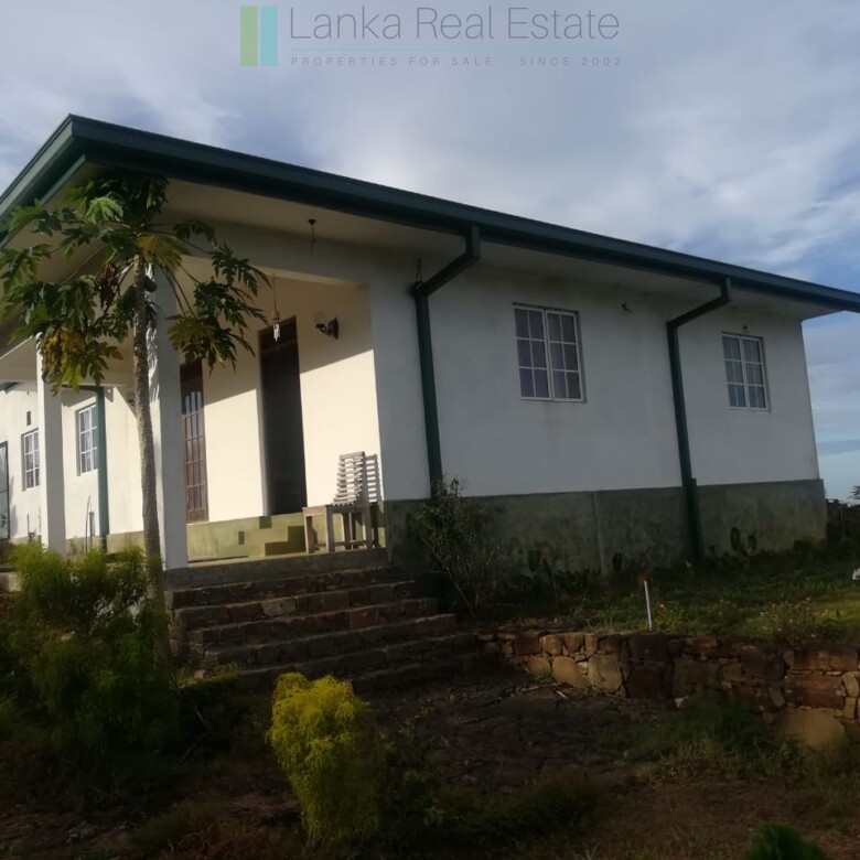 Thirty three acres in hill country with small tea estate