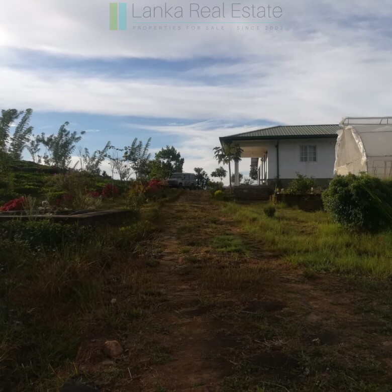 Thirty three acres in hill country with small tea estate