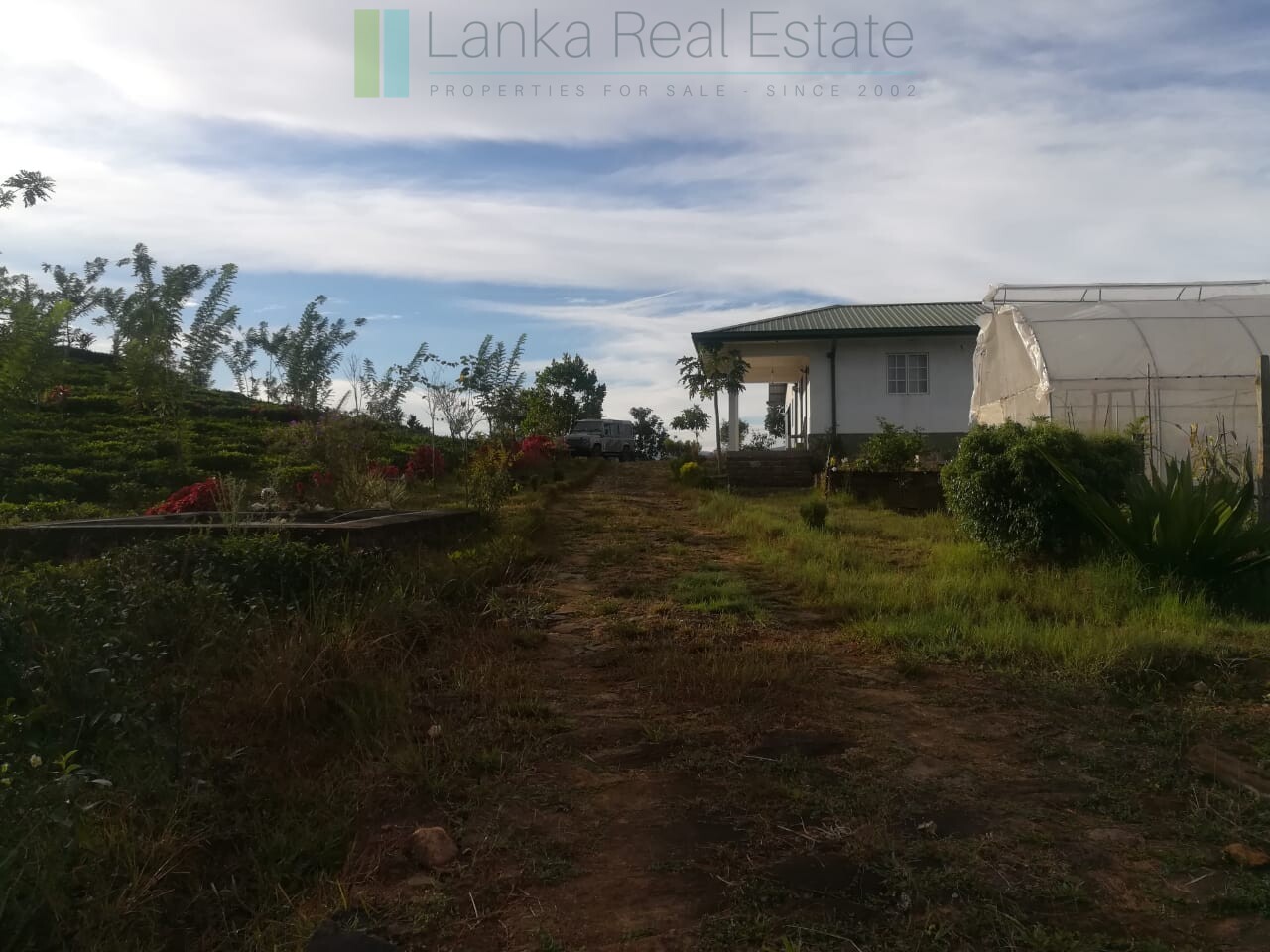 Thirty three acres in hill country with small tea estate