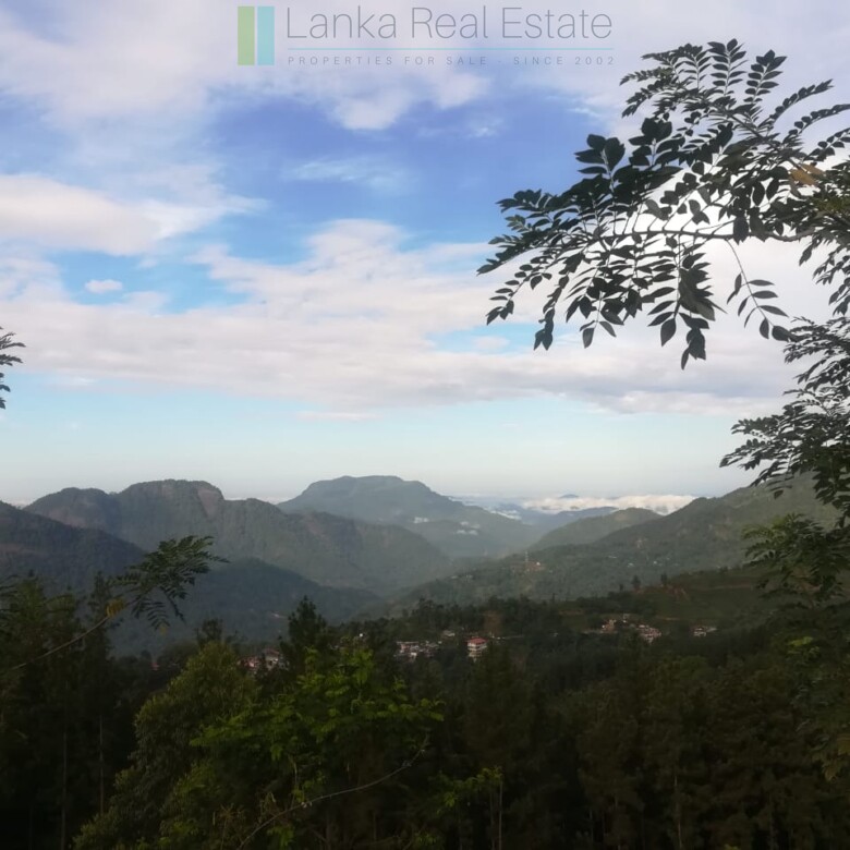 Thirty three acres in hill country with small tea estate