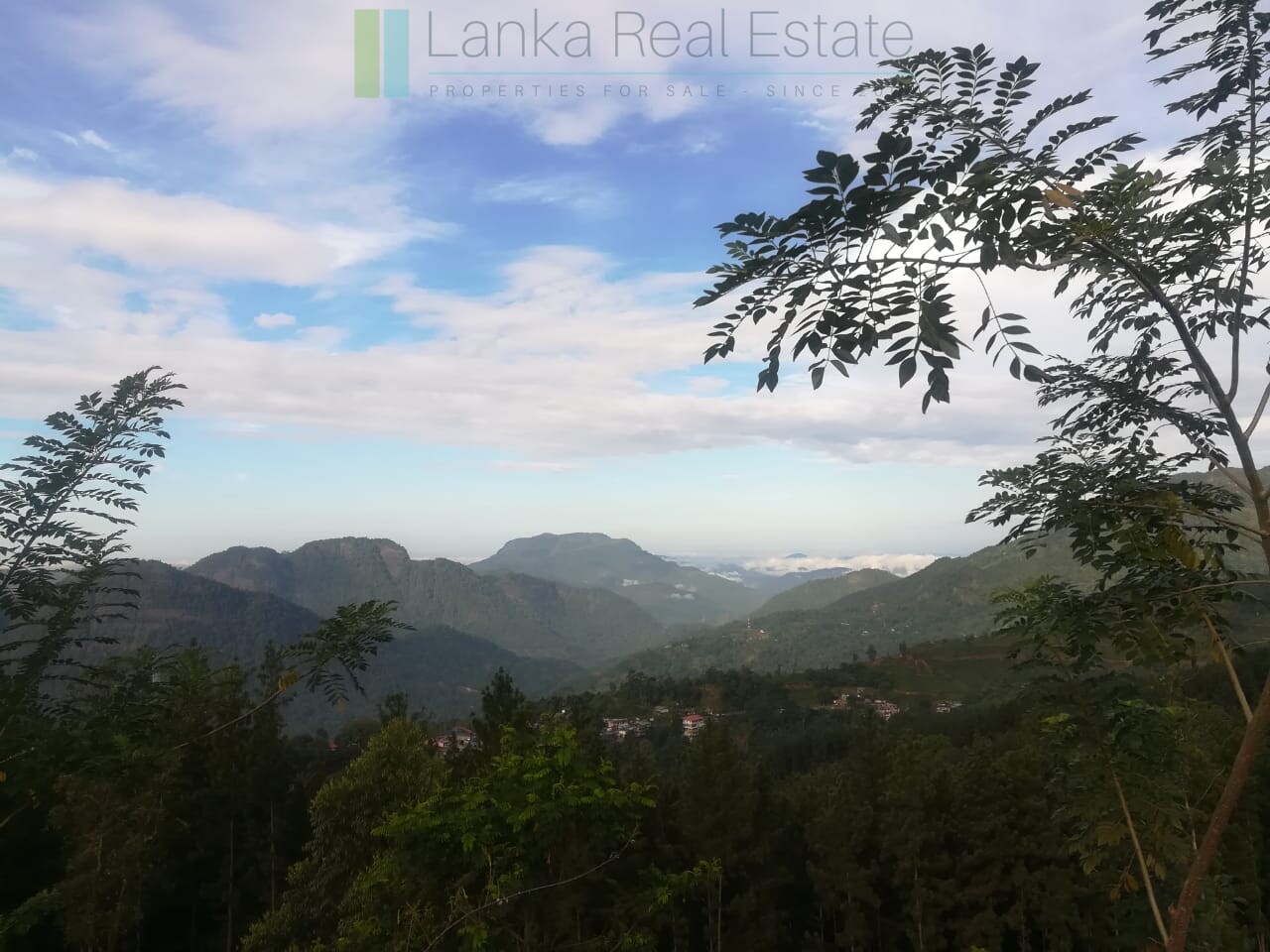 Thirty three acres in hill country with small tea estate