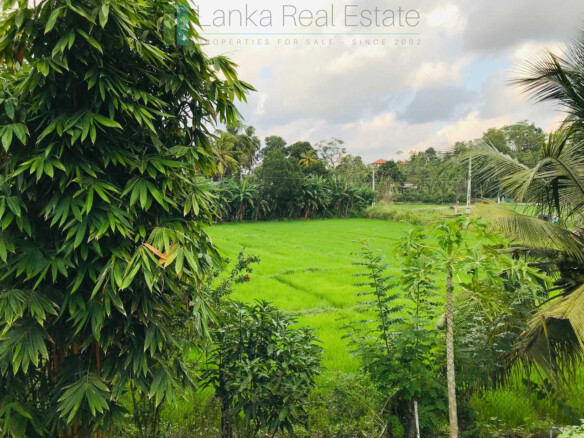 Old house with land in Unawatuna