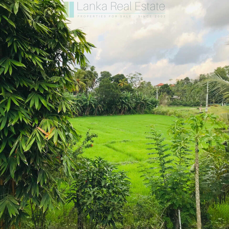 Old house with land in Unawatuna