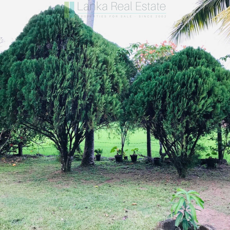 Old house with land in Unawatuna