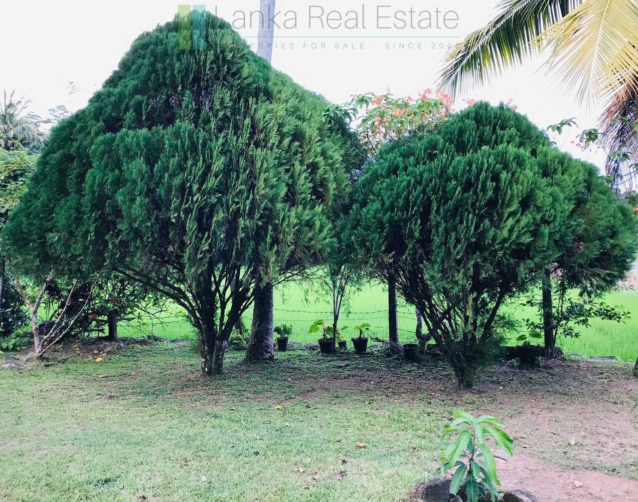 Old house with land in Unawatuna