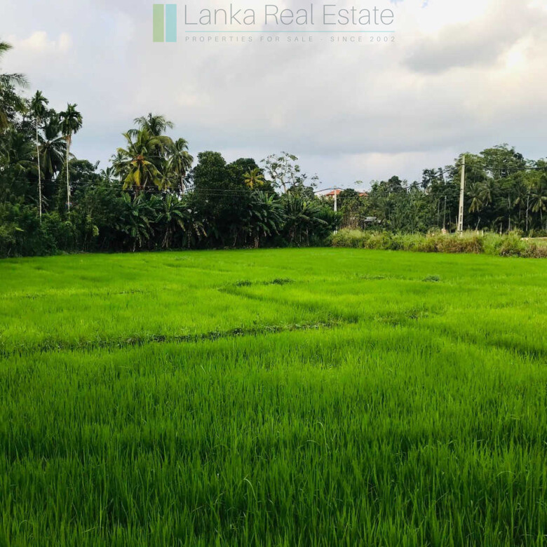 Old house with land in Unawatuna
