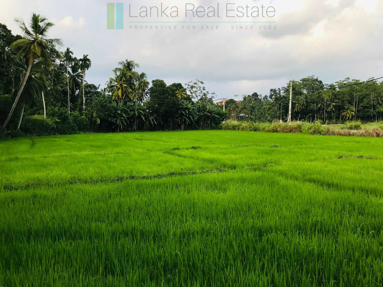 Old house with land in Unawatuna