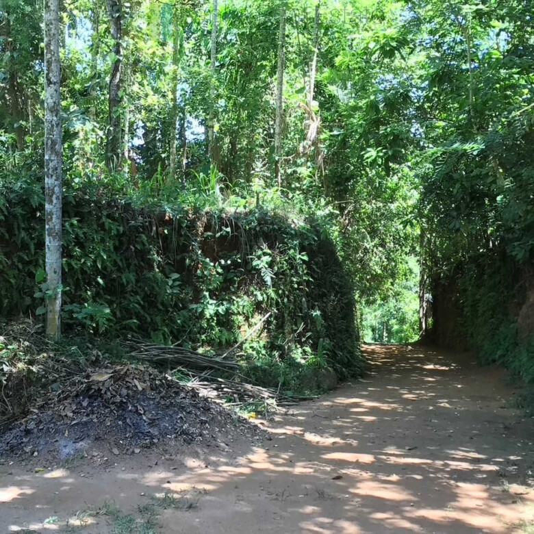 Old house on one acre development plot at Pilana near Galle