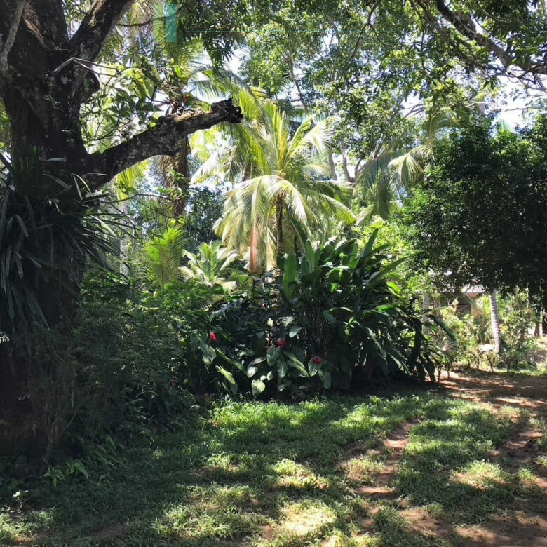 Old house on one acre development plot at Pilana near Galle