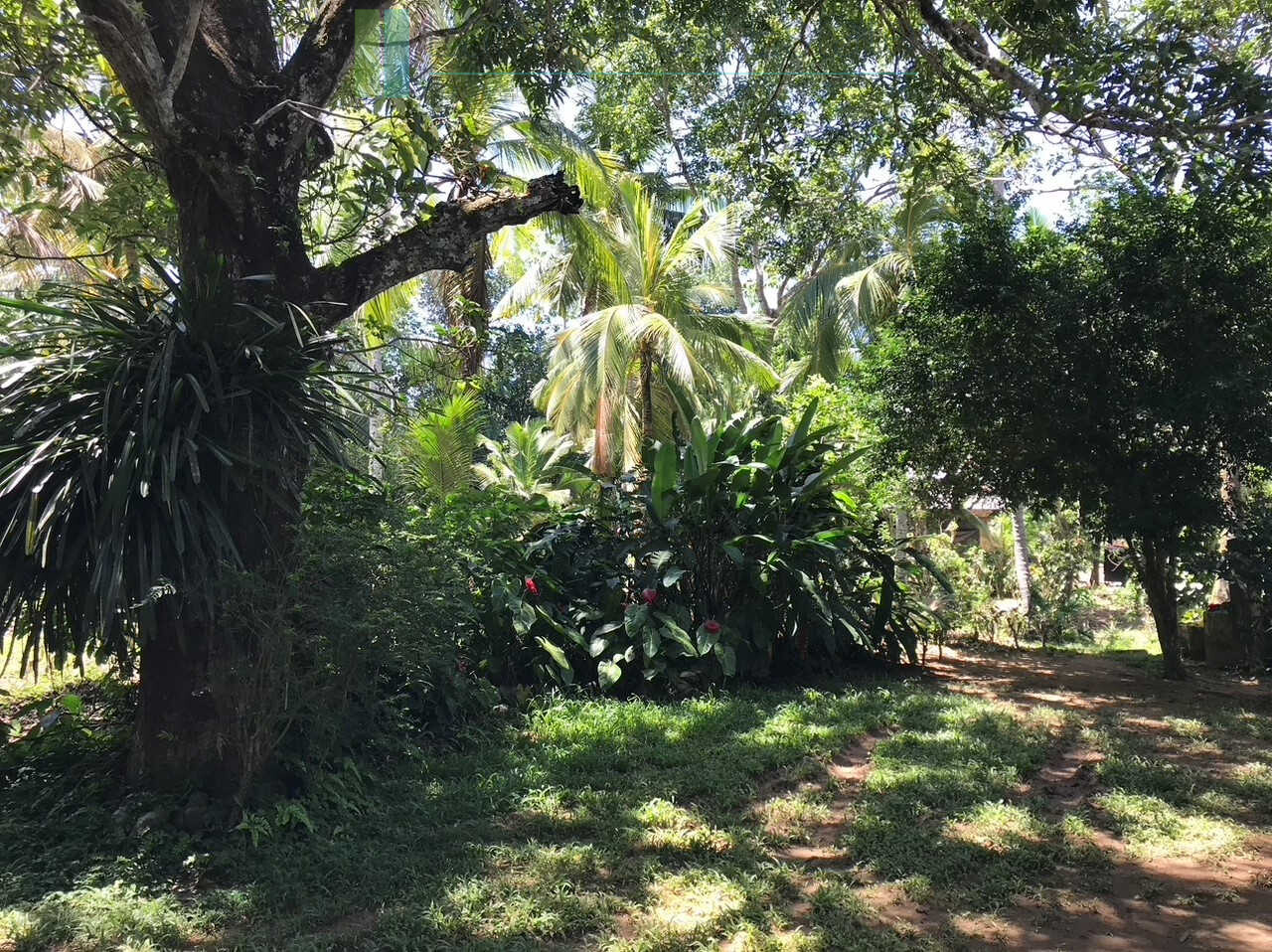 Old house on one acre development plot at Pilana near Galle