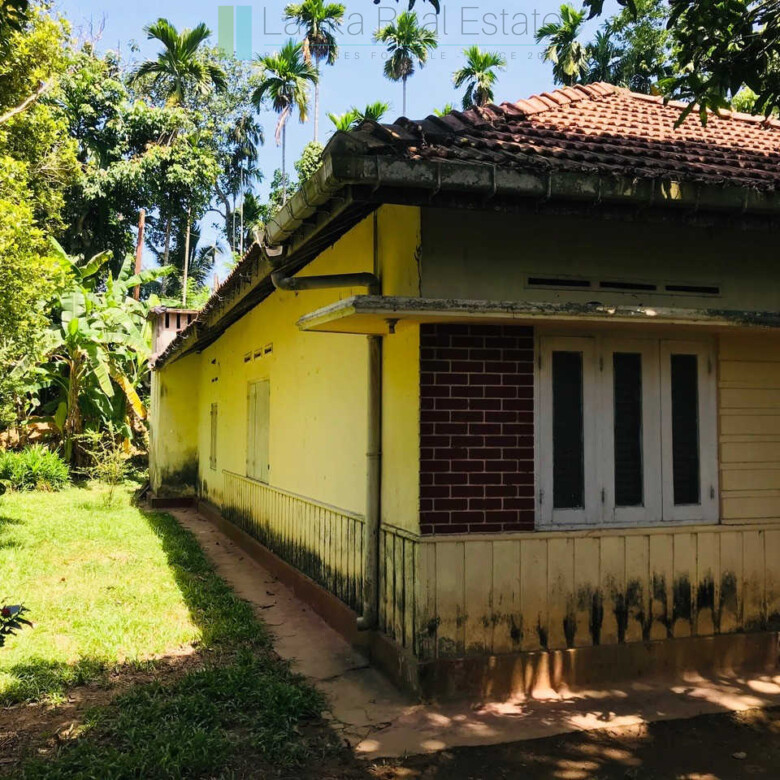 Old house on one acre development plot at Pilana near Galle
