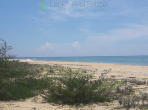 Building plot near Whisky Point, Arugam Bay