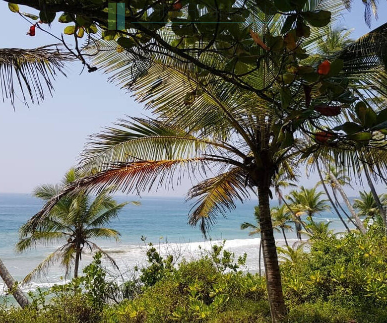 Stunning seven acre beachfront near Dikwella