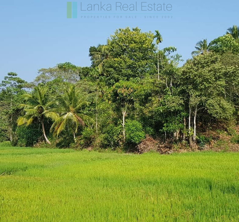 Stunning seven acre beachfront near Dikwella