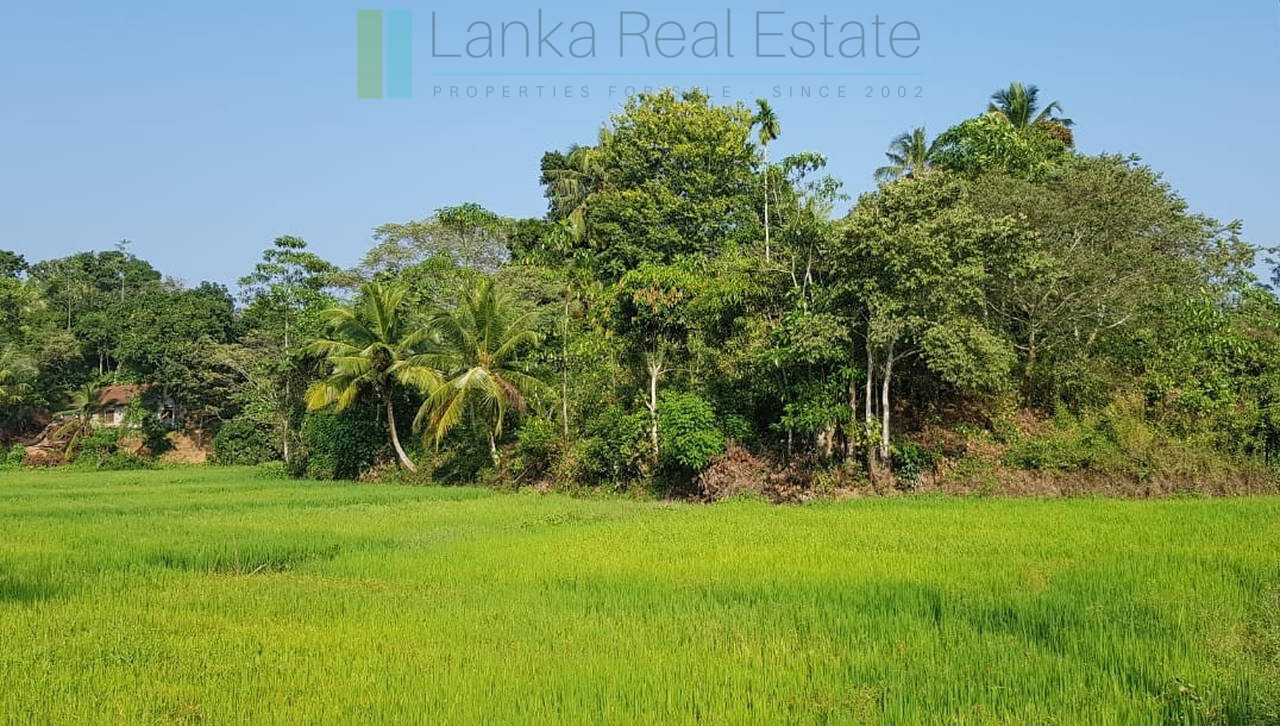 Stunning seven acre beachfront near Dikwella