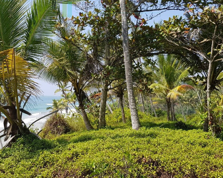 Stunning seven acre beachfront near Dikwella