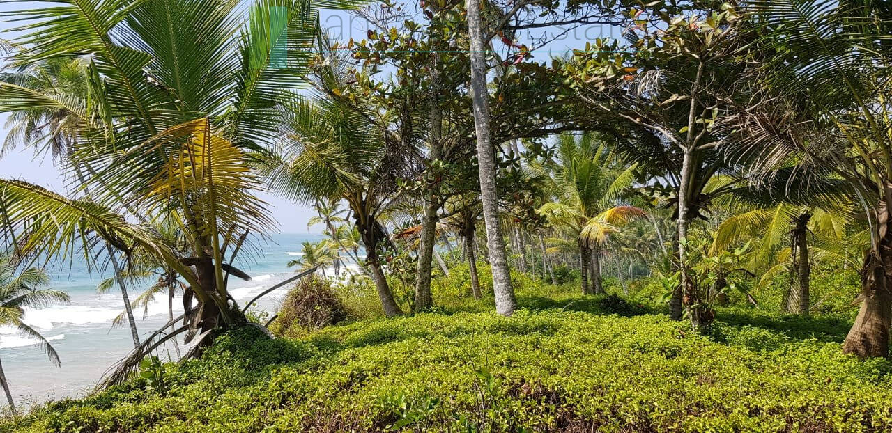 Stunning seven acre beachfront near Dikwella