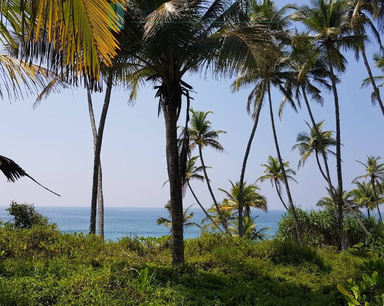 Stunning seven acre beachfront near Dikwella