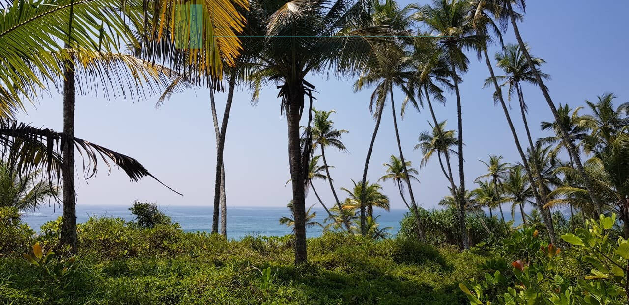 Stunning seven acre beachfront near Dikwella