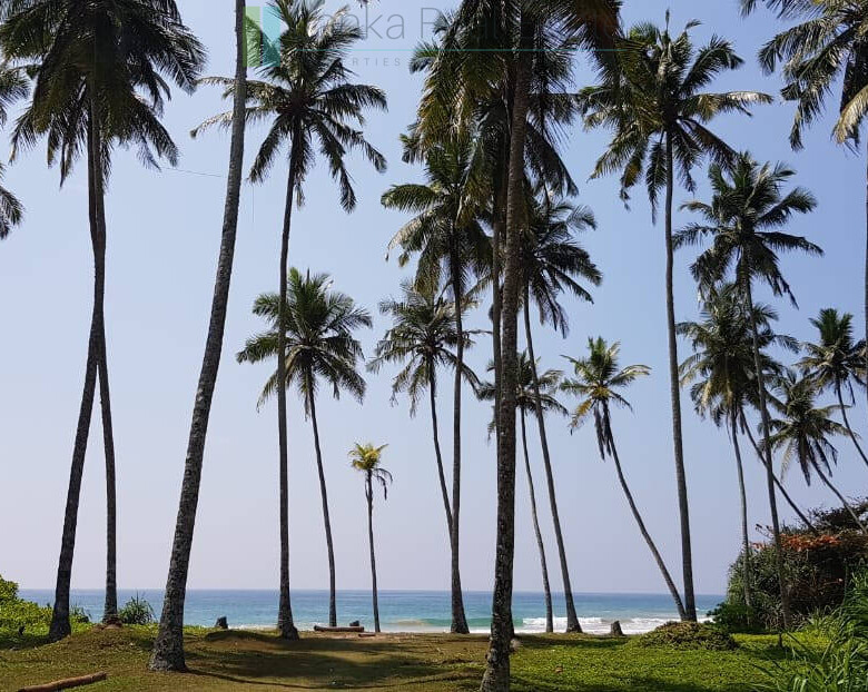 Stunning seven acre beachfront near Dikwella